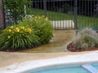 A Curvy Path to the Pool Pump House