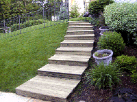 New stairs looking up